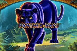 Playtech : Panther Pays - PLACEBET138