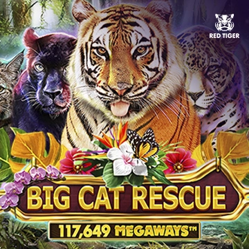 Big Cat Rescue Megaways - PLACEBET138