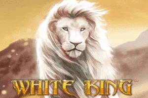 Playtech : White King - PLACEBET138