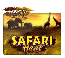 Joker123 : Safari Heat - PLACEBET138