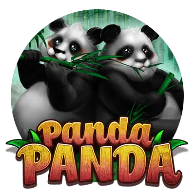 Panda Panda - PLACEBET138