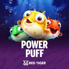 Power Puff - PLACEBET138