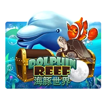 Joker123 : Dolphin Reef - PLACEBET138