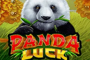 Playtech : Panda Luck - PLACEBET138